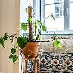 B&B Azulejos Cais Sodre