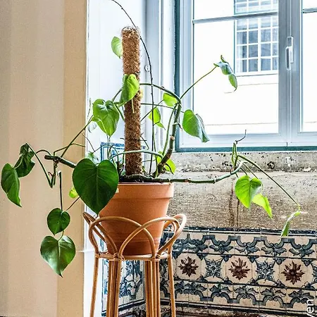 לינה וארוחת בוקר Azulejos Cais Sodre